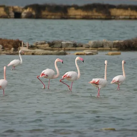 Kır Evi Casale Stagnone